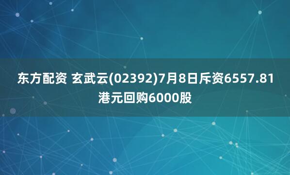 东方配资 玄武云(02392)7月8日斥资6557.81港元回购6000股
