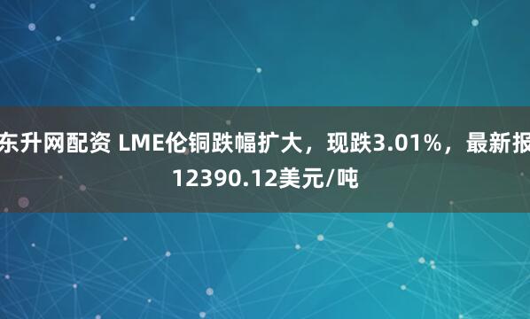 东升网配资 LME伦铜跌幅扩大，现跌3.01%，最新报12390.12美元/吨